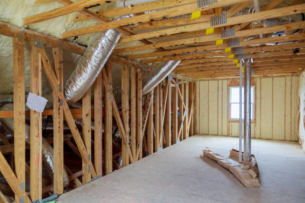 Best Insulation Removal Services  in USA